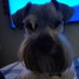 Alberto Vazquez (@alberto57053414) Twitter profile photo Alberto Vazquez (@alberto57053414) Twitter profile photo