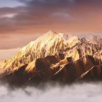 Bobzhang258 (@bobzhang258) 's Twitter Profile