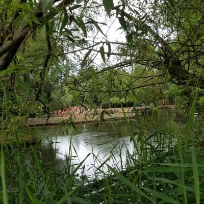 Lifeisannoying4's profile picture. 