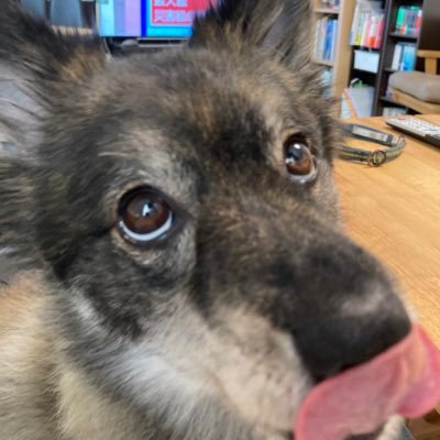 2020年12月、Twitter再開。精神科病院相談員→障がい者支援NPO。精神保健福祉士、社会福祉士。崩壊家庭で、なんとか生き延びました。つぶやきはフィクション。フォローはお気軽にどうぞ🤗 家族もケアは必要だけど、私が一番大切にするのはやっぱりわたし の会(通称 わたしの会)@watasitaisetu