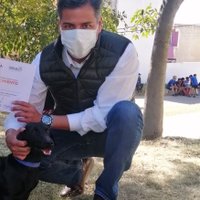 Carlos G. T. (@carlosh_gt) 's Twitter Profile