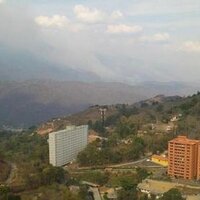 Alerta_Caiza (@alerta_caiza) 's Twitter Profile