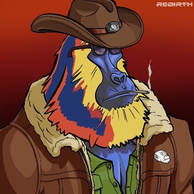 Bar_Zeen's profile picture. 🦍 🐎 🦩