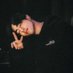 RS_XCII (@rsxcii) Twitter profile photo RS_XCII (@rsxcii) Twitter profile photo