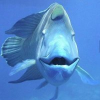 C Rush (@sciencerush) 's Twitter Profile Photo C Rush (@sciencerush) 's Twitter Profile Photo