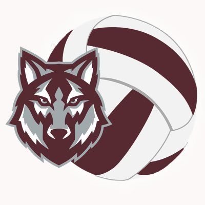 Davenport Wolves Volleyball Profile