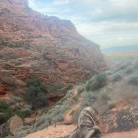 errmane.eth (@eric31880482) 's Twitter Profile