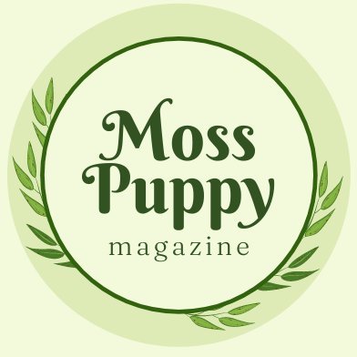 Lit mag for the weird, muddy, & messy. EIC: Melissa Martini | Account run by Nena K. | Submissions for Issue 9 open July 1, 2025!