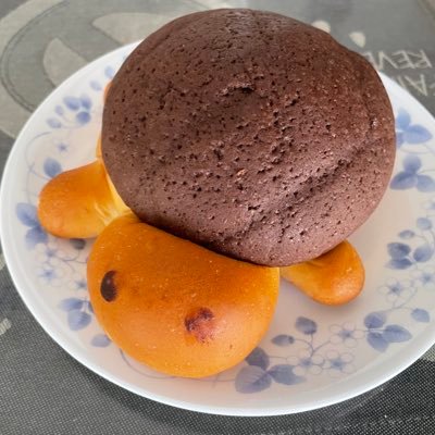 無言フォローお許し下さい🙏釣りバカです😥相模湾、駿河湾、東京湾の船エサ釣りメイン、たまに外房や茨城、福井、新潟などに遠征も、湖のワカサギや管理釣り場も、新型コロナワクチン接種後遺症SILVAで左肩関節障害を発症(4年目)、ハードなジギングは困難に😭 九州男児、漁師の孫、釣り以外 も呟きます🙇♂️