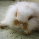 Chan Ching Yan - @yanichancy - Twitter