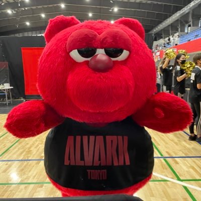 アルバルク東京🏀🐻と猫🐱が好き。百名城🏯をいつかコンプリートしたい。