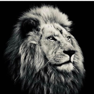 cnpanghal's profile picture. 🔸जय भारत🔸Inspire | Entrepreneur |