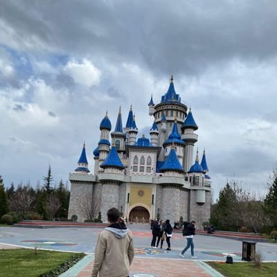 theapricitas's profile picture. 