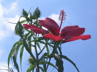 karin08241124's profile picture. 