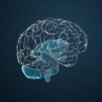 dasGehirn.info (@dasgehirn_info) 's Twitter Profile Photo