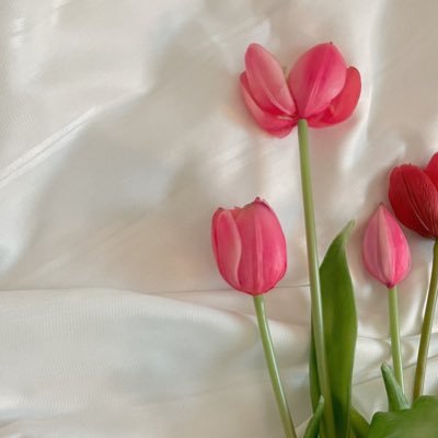 monghyun49's profile picture. 