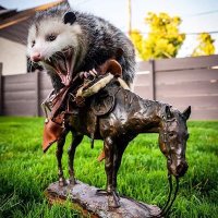 Extantentity (@randomentity2) 's Twitter Profile