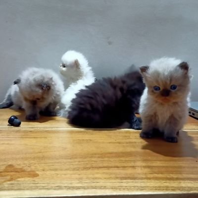 Anandhu37823541's profile picture. achu