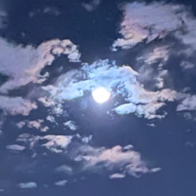 Chen Minさんのプロフィール画像