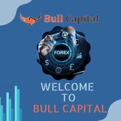 welcome to Bull Capital.