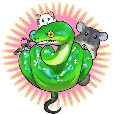 あいす🍨さんのプロフィール画像