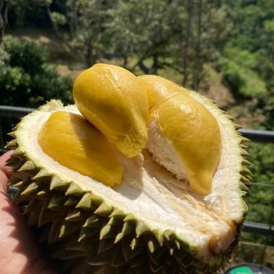 LizamFairul's profile picture. 