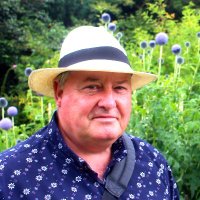 P J B (@paulbest2) 's Twitter Profile