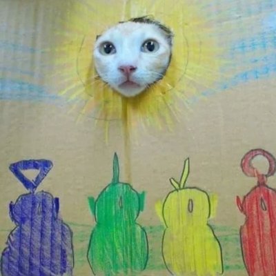 Kyu_paw's profile picture. 