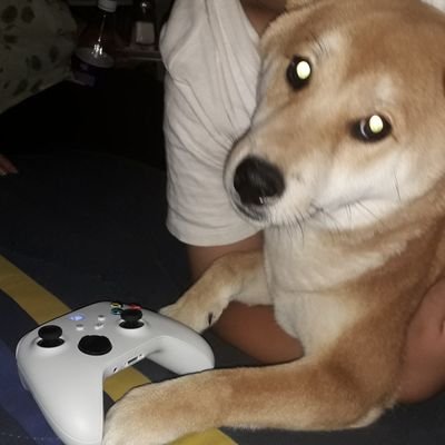 superluis64's profile picture. México Only México