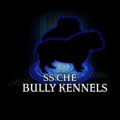 SS Che Bully Kennels LLC Breed and Produces some of the best quality pocket bullies and we also Breed full blood pitbulls puppies as well.