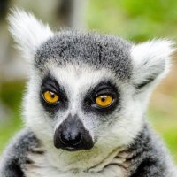Rachel Bosenterfer (@rachelk01840150) 's Twitter Profile Photo Rachel Bosenterfer (@rachelk01840150) 's Twitter Profile Photo