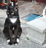 kyoueiplan's profile picture. 沖縄県那覇市で設計事務所やっているヤケナです♪
仕事をしている傍ら、ゴーヤーなんかも育てています(´▽｀)
今年もすくすく育ってますよ♪
あと、釣り好きです。ゴルフも好きですよー。気軽にフォローよろしくです♪