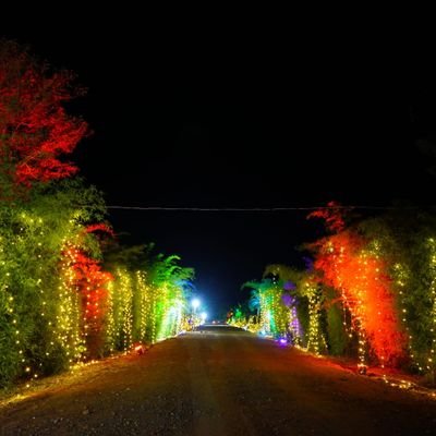 anirudh_99999's profile picture. Personal