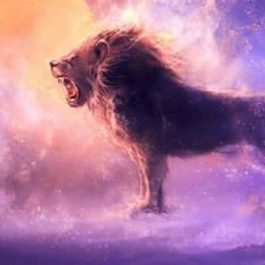 ismailhaytaogu1's profile picture. i am crypto lover... always...