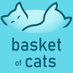 Basket of Cats (@Basket_of_Cats) Twitter profile photo