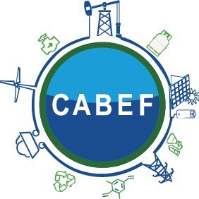 The CABEF is the largest energy sector forum in Central Africa. #cabef #wildlifeindouala #pipeline #hydrocarbon #power #gas #oil #forum