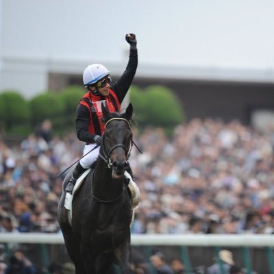 エイシンフラッシュが大好きです🐎🐎🐎一緒わいわい競馬出来たらいいと思ってます😌 #競馬