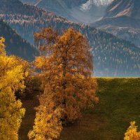 sema (@s10551238) 's Twitter Profile Photo sema (@s10551238) 's Twitter Profile Photo