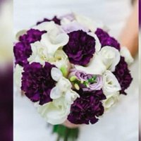 نور فارس عباس (@nwrhbas1saeed) 's Twitter Profile