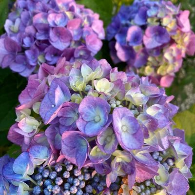 8歳と9歳の男の子の育児に奮闘中です。毎日 はしりまわってます。 Twitterは初めてですが色々な情報が知れたら嬉しいです(^^) 家族みんなでスポーツするのが好きです。 #zoechanの当選報告