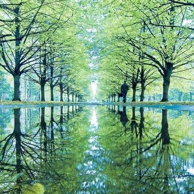 kayhan1910's profile picture. 