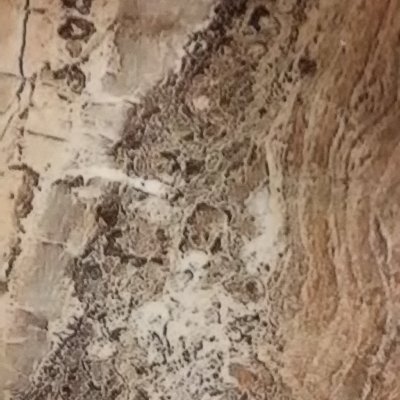 armaganars's profile picture. 