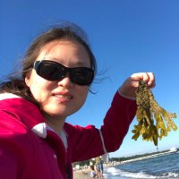 Xiaoqian(Annie) Yu (@seaweedomics) 's Twitter Profile