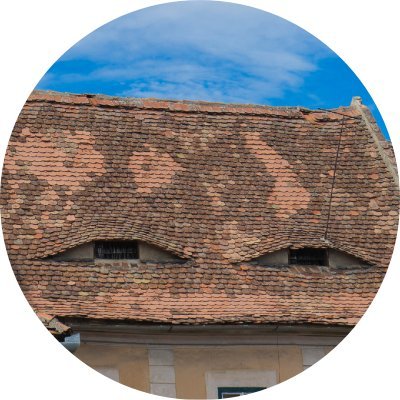新戸けいゆさんのプロフィール画像