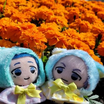25↑成人済♀。主に取引垢です。
永遠にA3!紬最愛♡紬と丞♡
最近→卍(三ツ谷と八戒)特に三ツ谷隆🍯/twst(🦁と🐉)/呪術(伏黒と🐰)/WB(梅宮と柊)/bl⚽士道(冴)/お取引は郵送(平日)または都内手渡し(土日)。返信等は基本的に夜遅め。日常わりと呟きます。◎プロカ有り◎