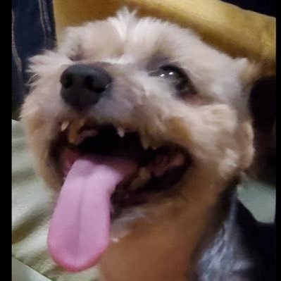 FunkmasterMasa's profile picture. 80s/90s/funk/soul/hiphop/newjackswing