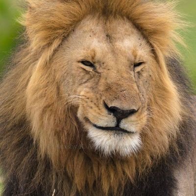 thereal_mashiri's profile picture. rugare tange nhamo