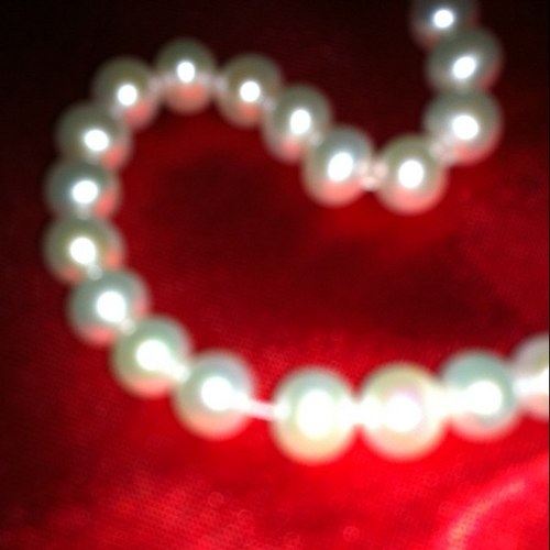 FatimaRohi's profile picture. 