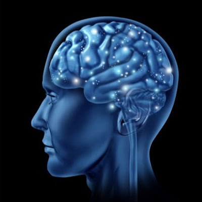 braindoku game braindoku game