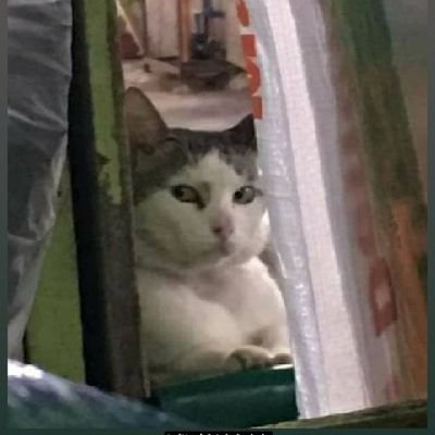 ribetamath's profile picture. akun gabut